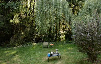 Camping Montagne des Vosges