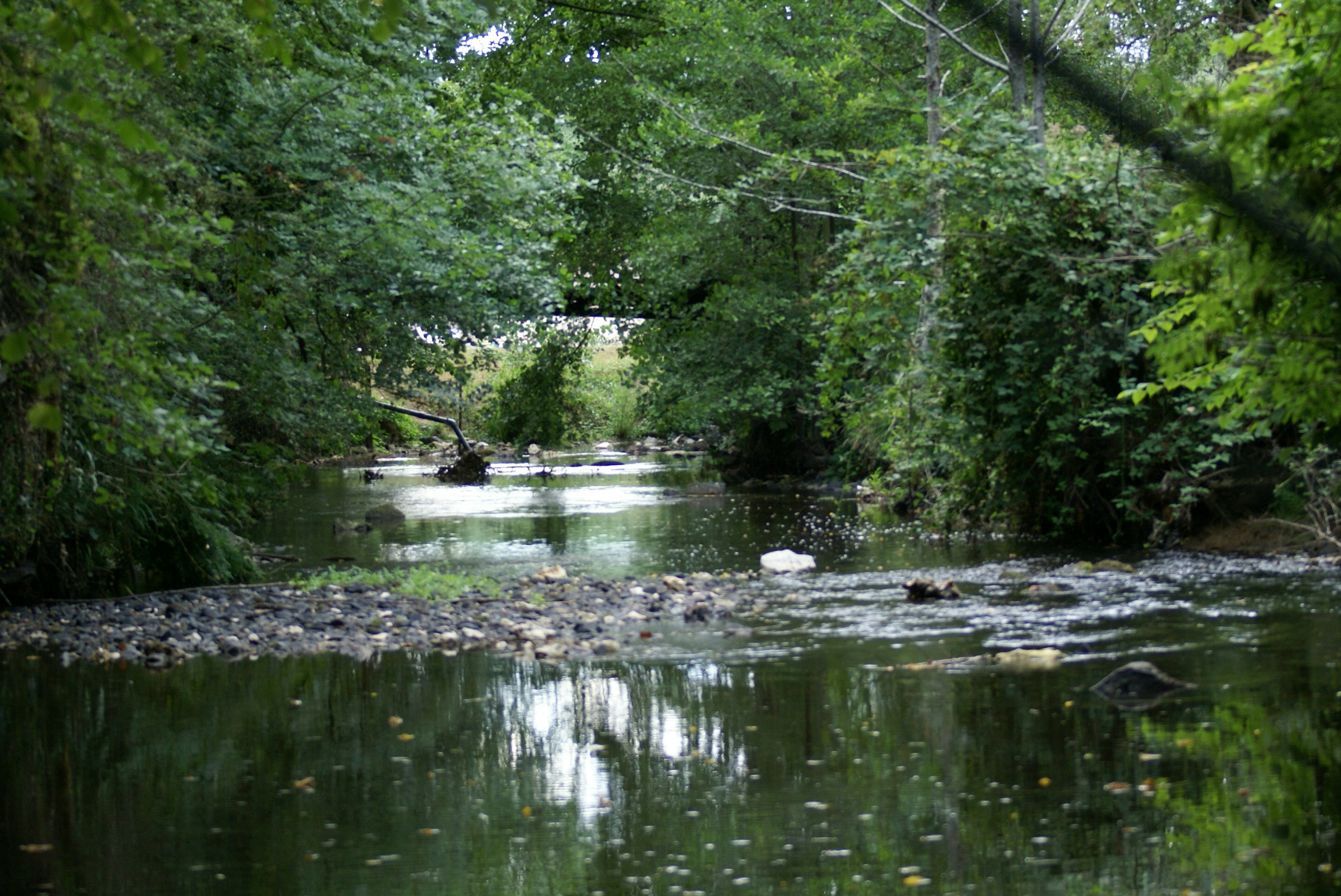Camping L’Agrion Bleu
