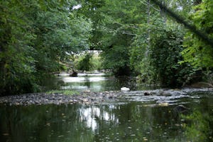 Camping L’Agrion Bleu
