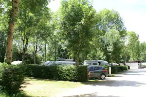 Parkende Autos auf einem Campingplatzweg zwischen Bäumen und Hecken, im Hintergrund Wohnwagen und Zelte.