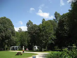 Grüner Campingplatz mit Rasen, Bäumen und mehreren Wohnmobilen, dazwischen ein Weg und eine Bank.