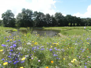 Camping De Oldenhove