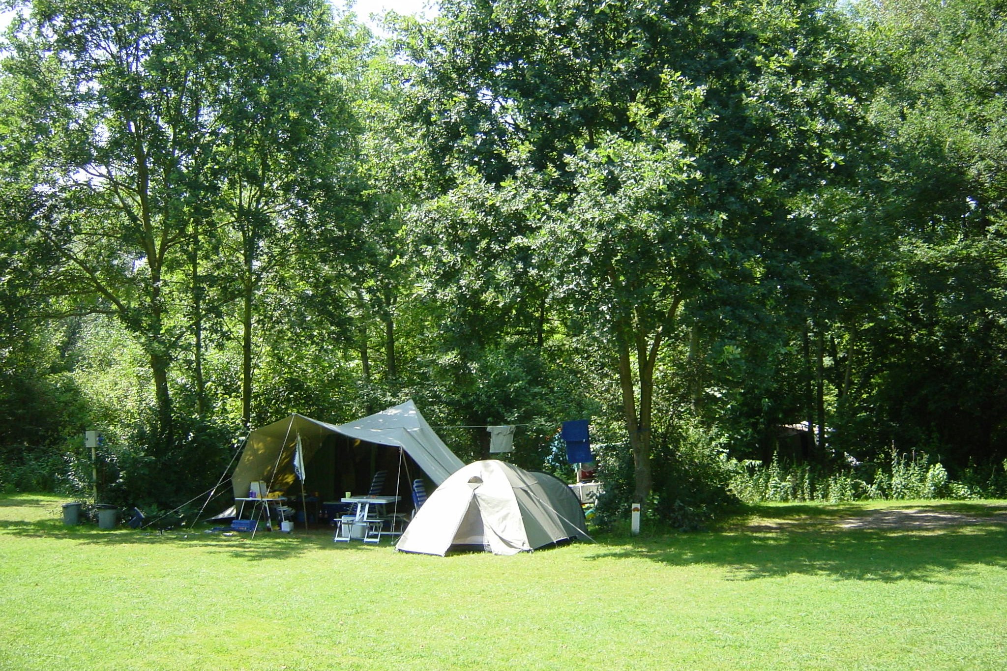 Camping De Oosterdriessen - ein Zelt unter Bäumen auf dem Campingplatz