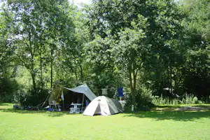 Campingzelte auf einer Wiese im Grünen, mit Stühlen und Tischen am Zeltplatz, umgeben von Bäumen.