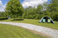 Camping De Oosterweide - Zeltplatz auf der Wiese des Campingplatzes