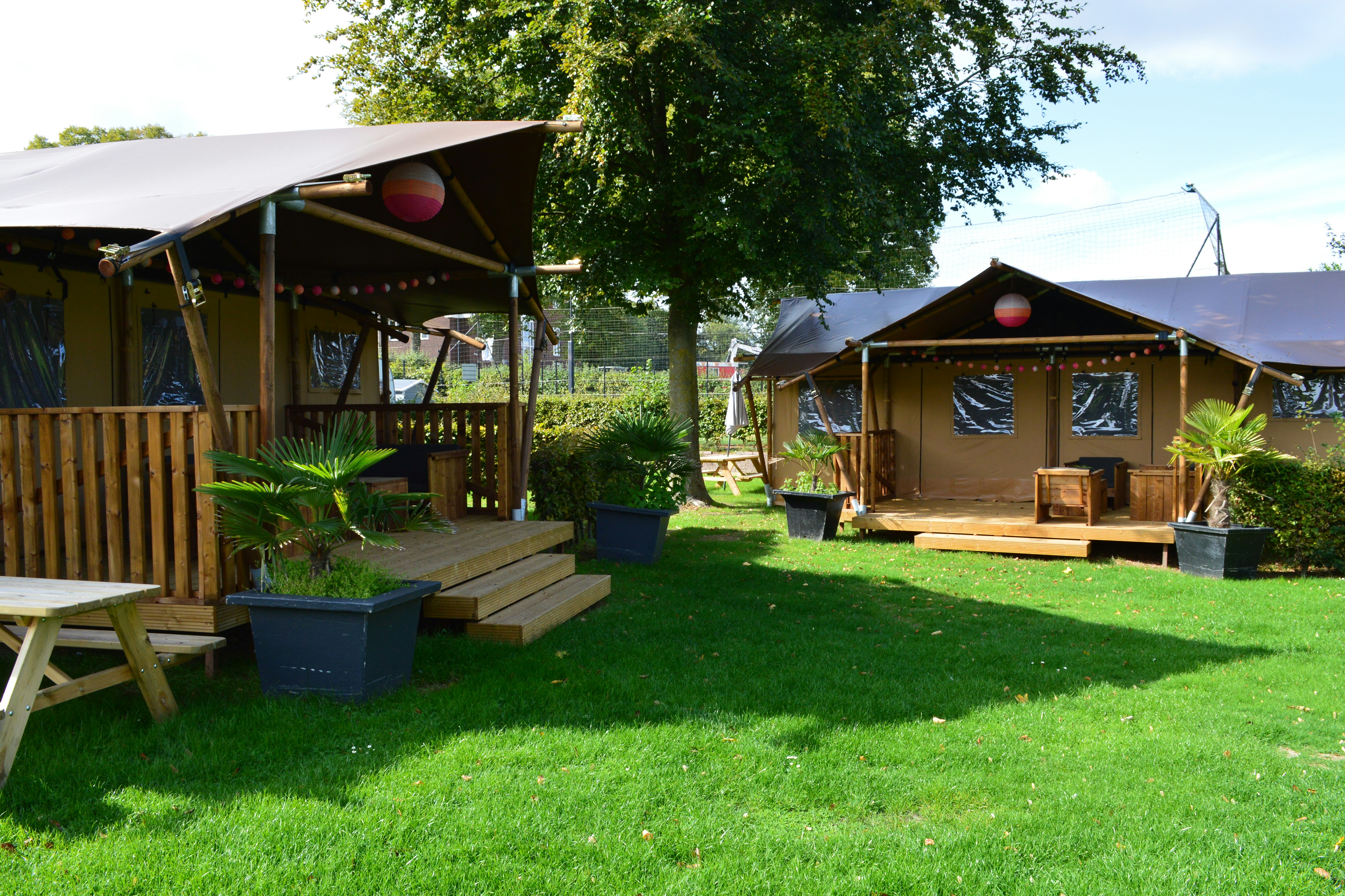 Vakantiepark De Oude Molen - Glamping-Zelte mit Terrasse auf dem Campingplatz