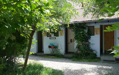 Camping De Oude Wilg