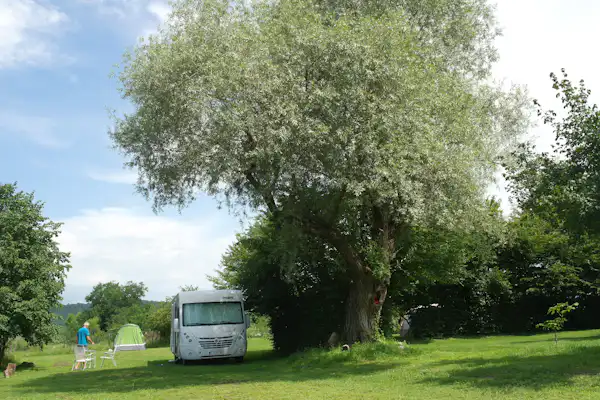 Camping De Oude Wilg