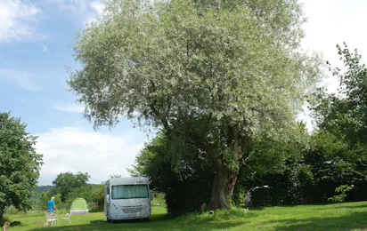 Camping De Oude Wilg