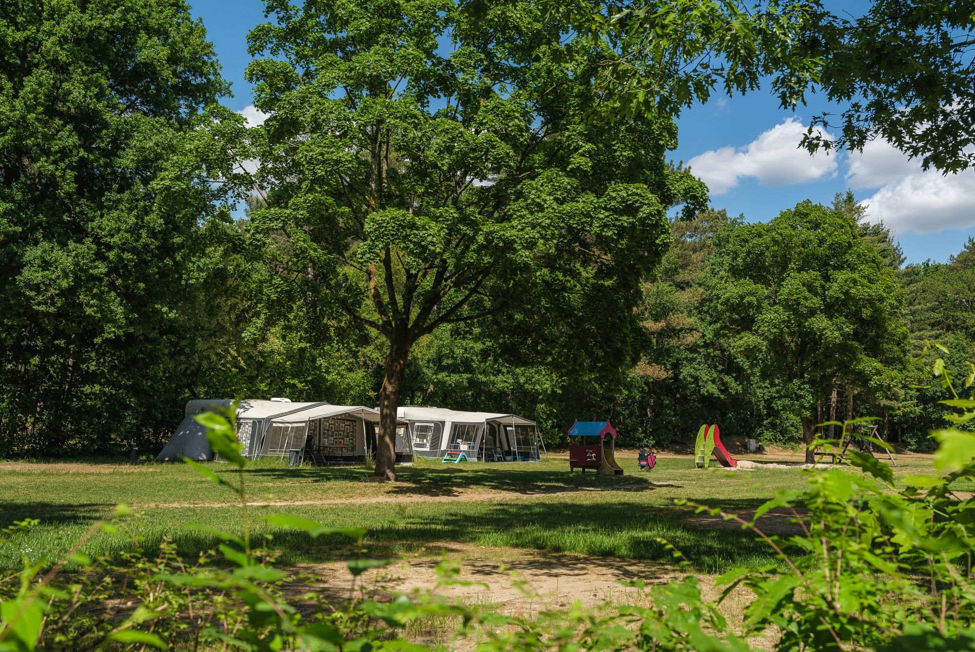 Camping De Paal - Standplätze im Grünen auf dem Campingplatz