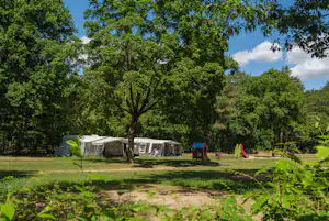 Camping De Paal - Standplätze im Grünen auf dem Campingplatz