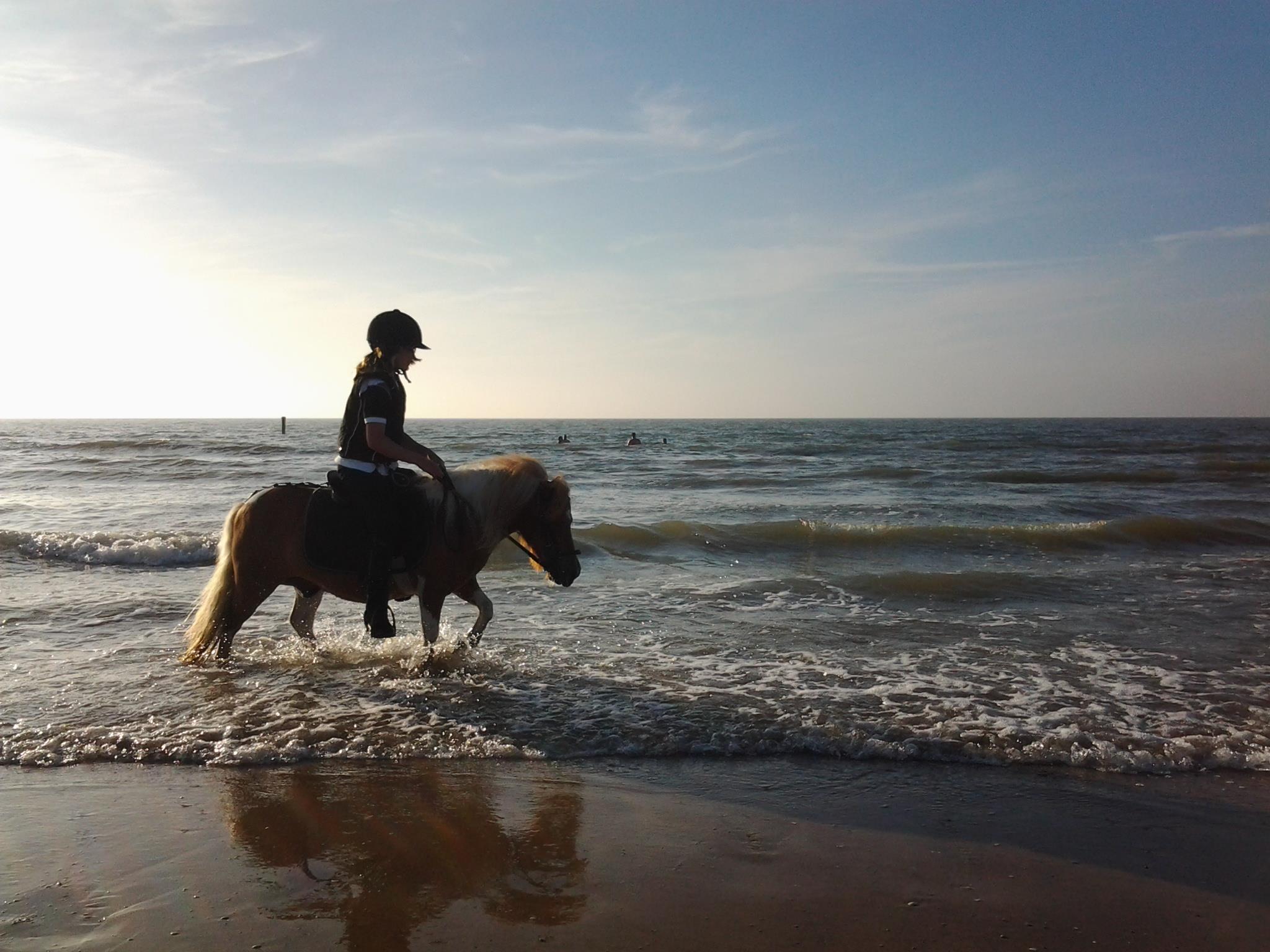 Camping De Paardenwei