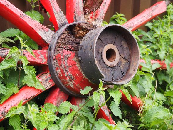 Camping De Paardenwei