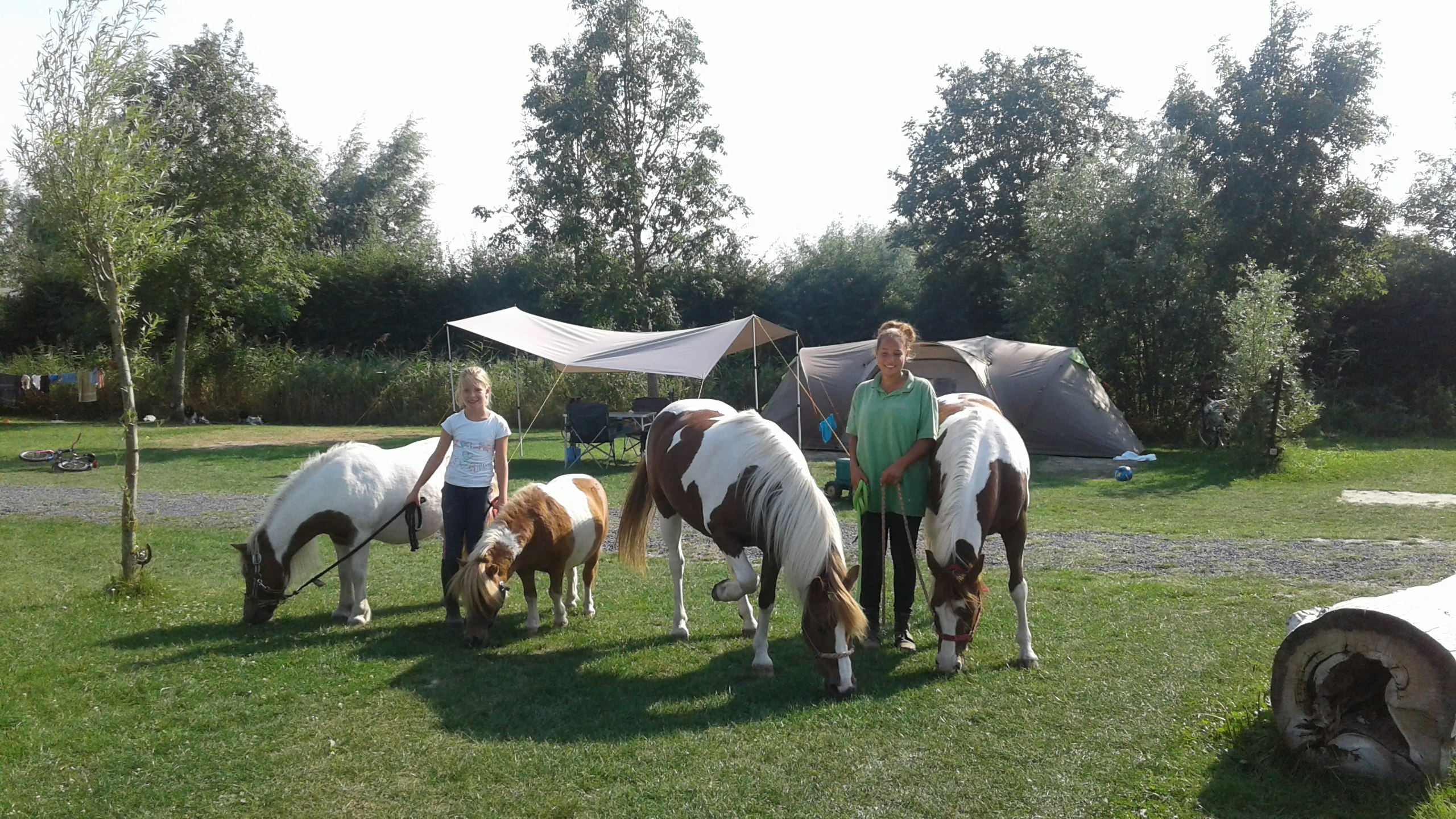 Camping De Paardenwei