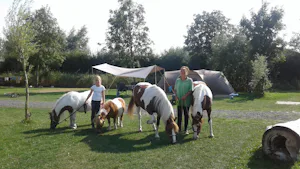Camping De Paardenwei
