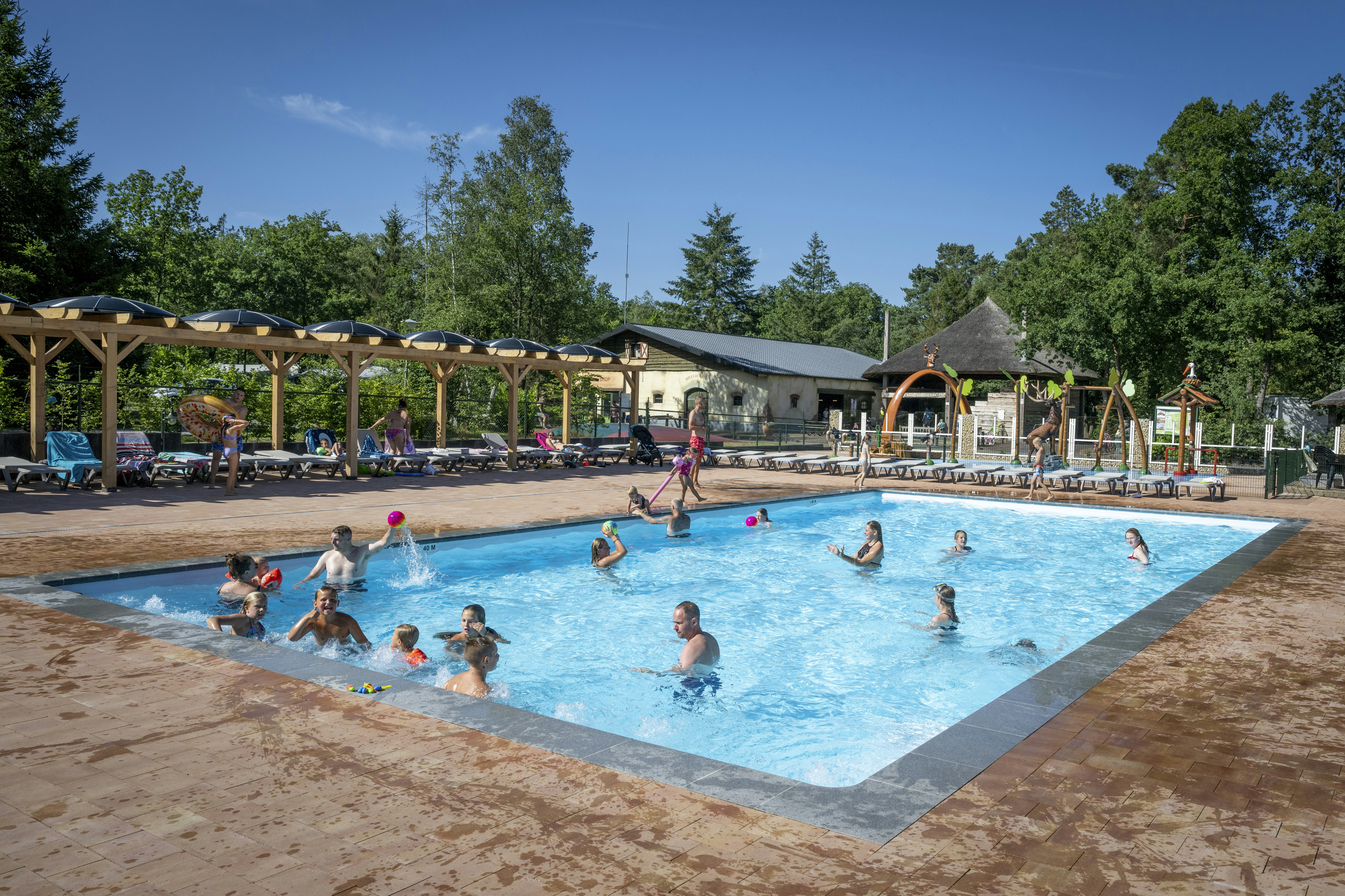 Camping De Pampel  - Pool im Freien mit Liegestühlen und Sonnenschirmen