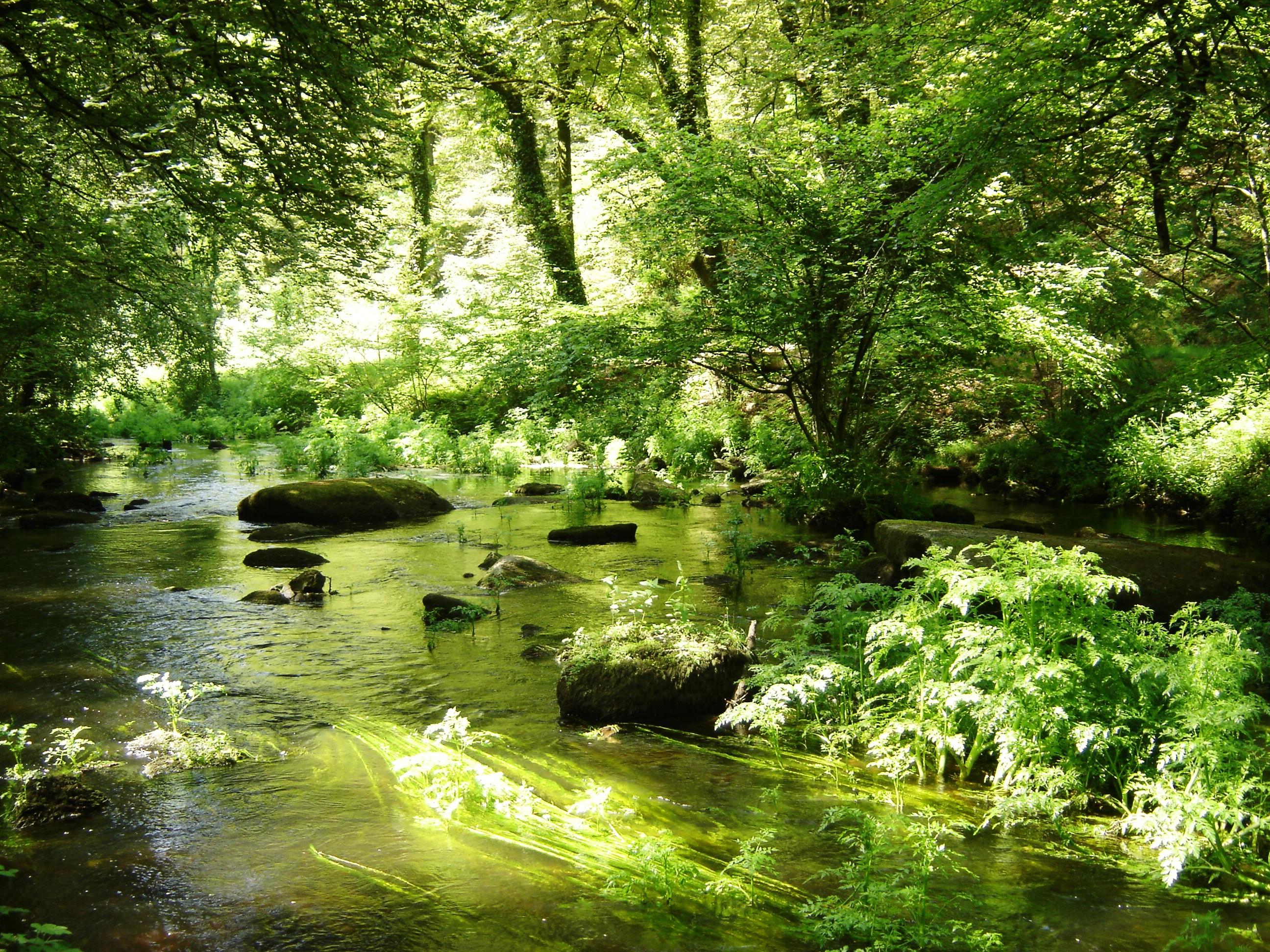 Camping de Pont Calleck