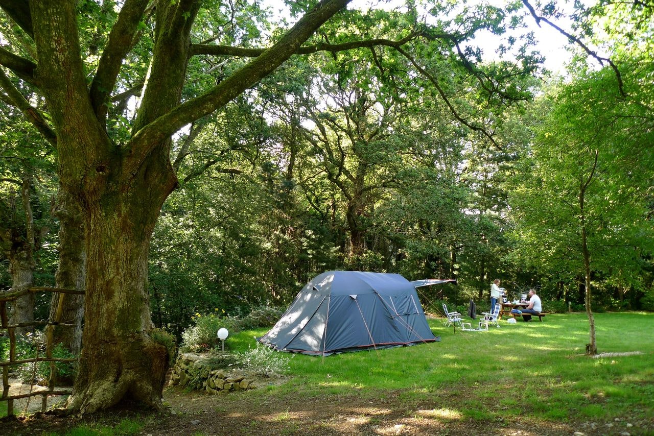 Camping de Pont Calleck - Blick auf einen Zeltplatz auf der Wiese