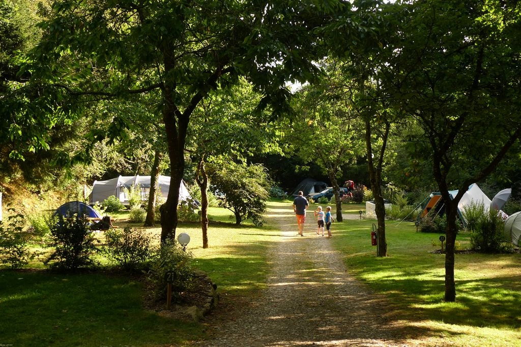 Camping de Pont Calleck - Standplätze zwischen den Bäumen auf dem Campingplatz