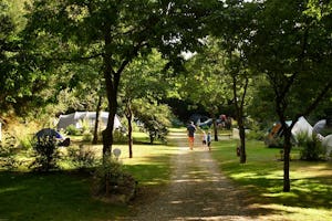 Camping de Pont Calleck - Standplätze zwischen den Bäumen auf dem Campingplatz