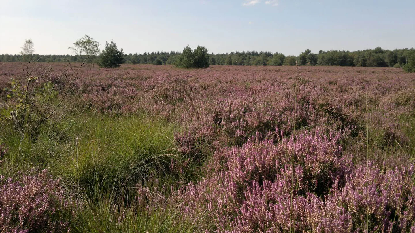 Camping de Posthoorn