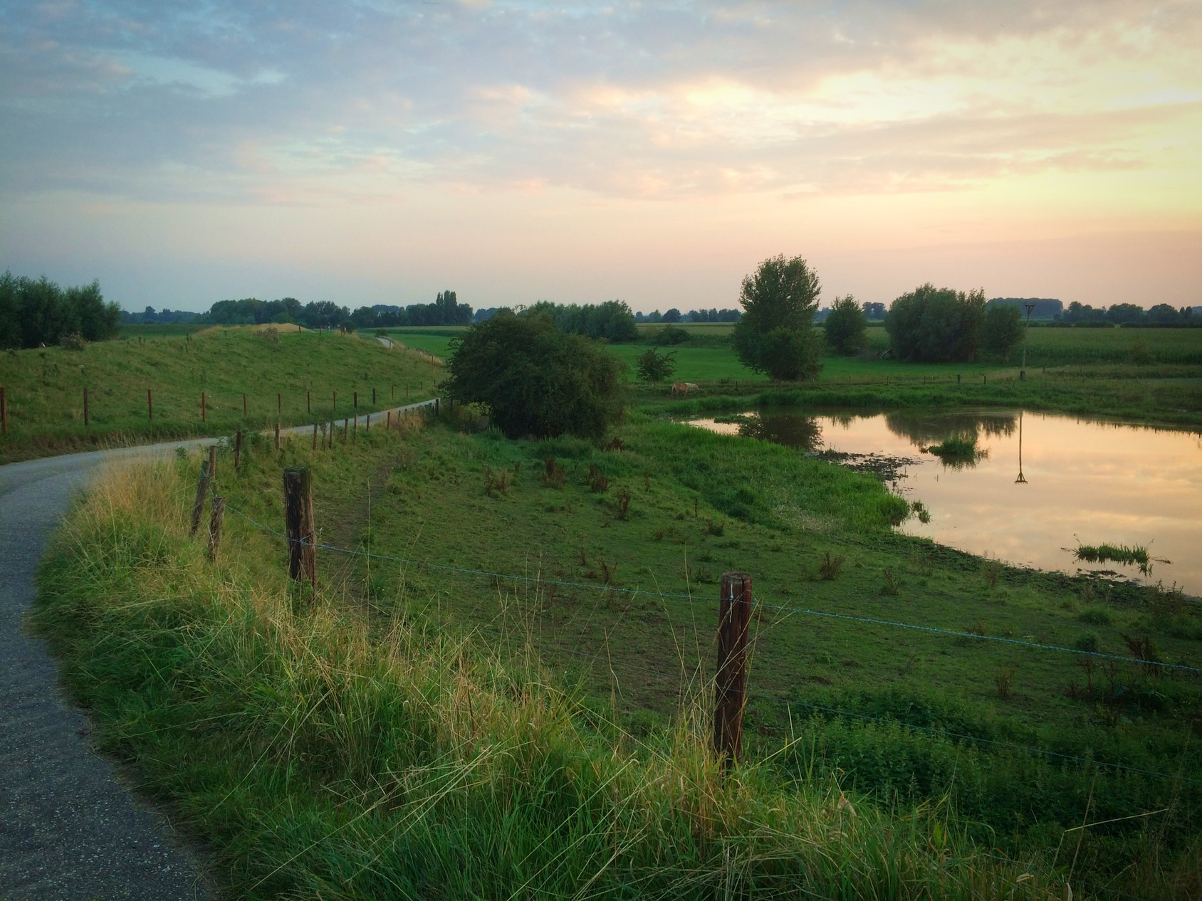 Camping De Rijnstrangen