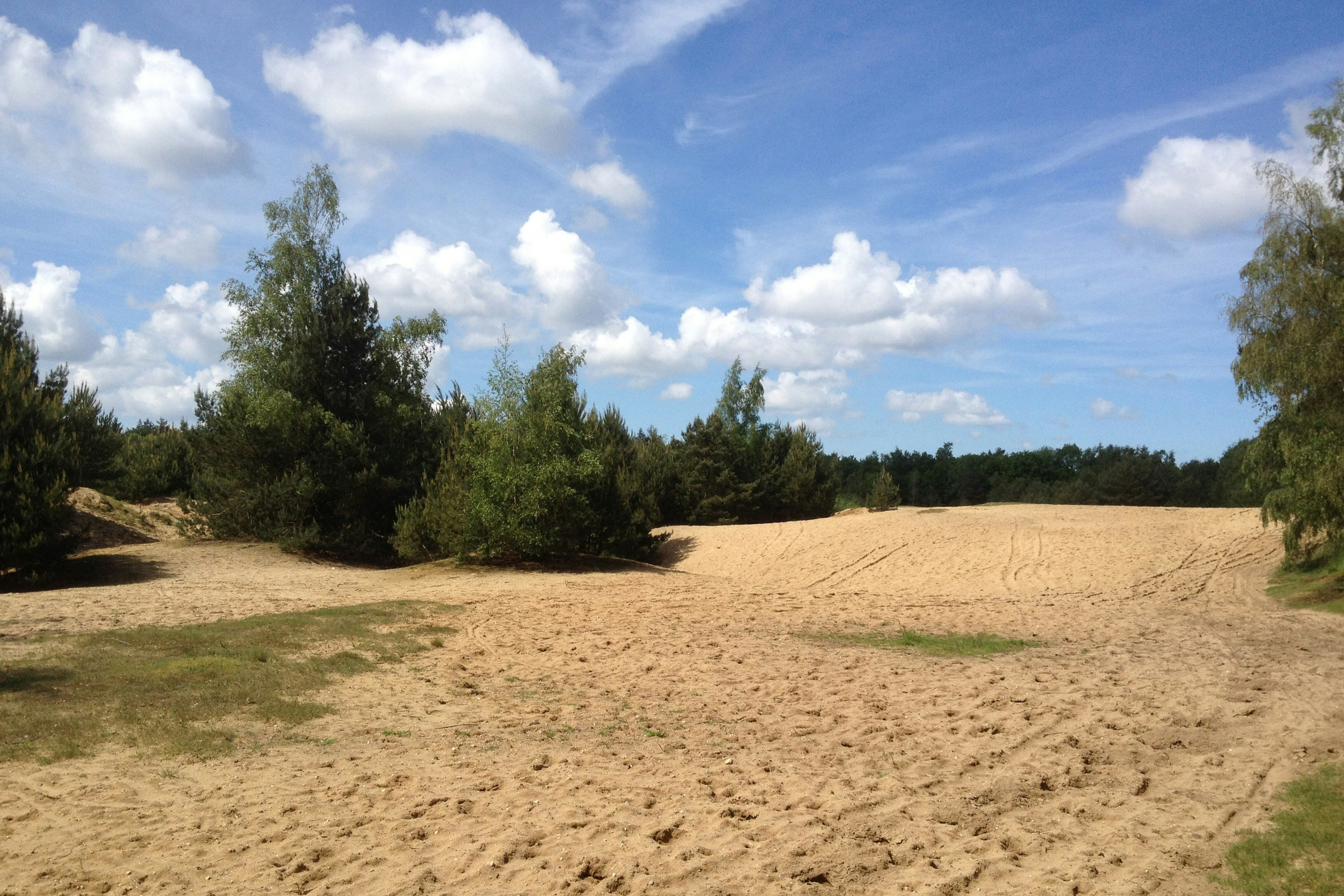 Camping de Rimboe - Eingang des Campingplatz