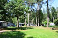 Camping de Rimboe -  Campingbereich für Zelte und Wohnwagen im Schatten der Bäume