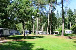 Camping de Rimboe - Campingbereich für Zelte und Wohnwagen im Schatten der Bäume