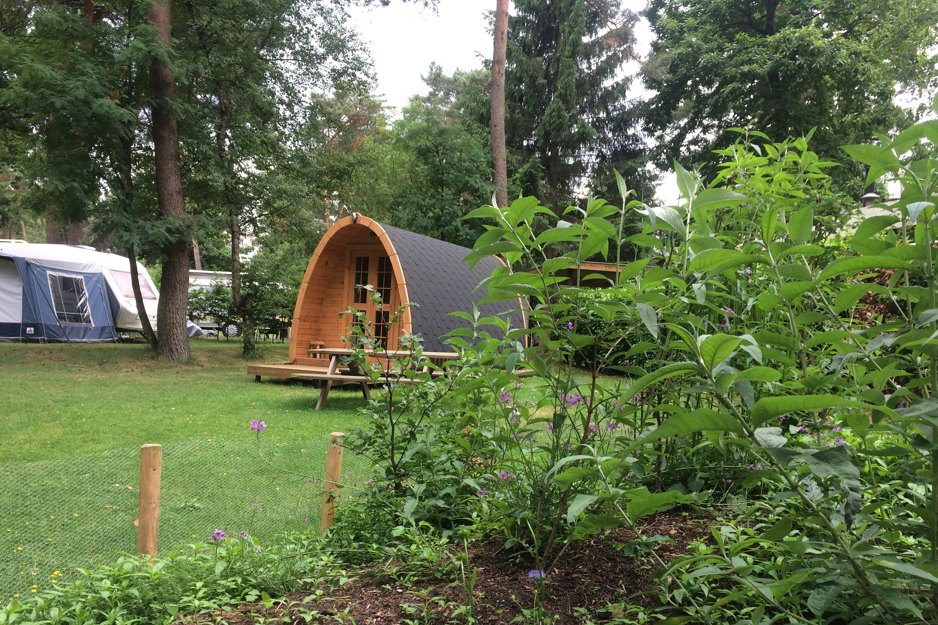 Camping de Rimboe - Waldhütte im Grünen auf dem Campingplatz--