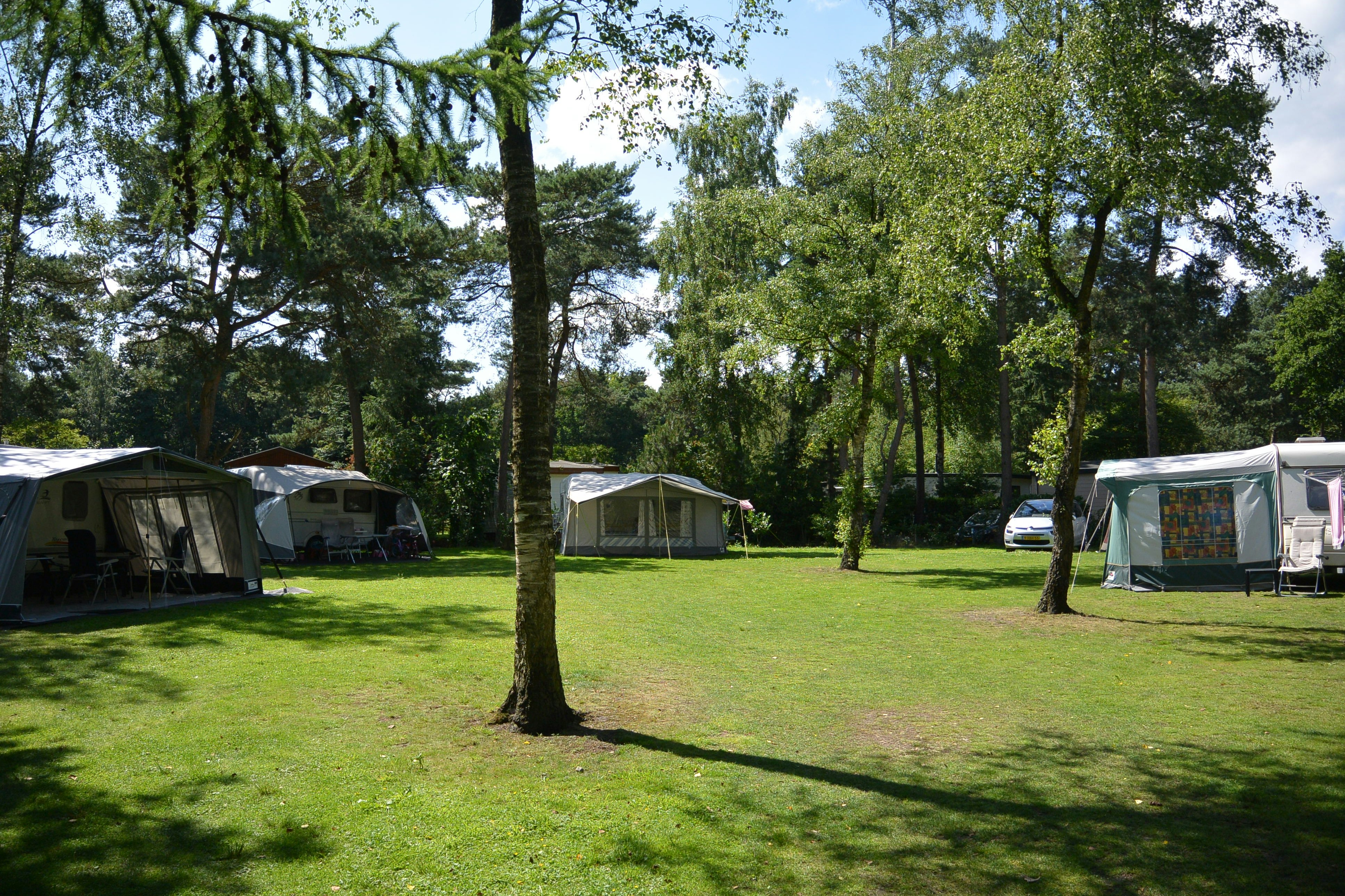Camping de Rimboe -  schattiger Wohnmobilstellplatz im Grünen auf dem Campingplatz 