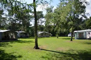 Campingplatz mit Zelten und Wohnmobilen auf grüner Wiese, umgeben von hohen Bäumen und Schatten.