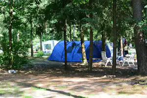 Blaues Campingzelt im Wald, daneben weiße Klappstühle und ein Tisch auf dem Stellplatz zwischen Bäumen.