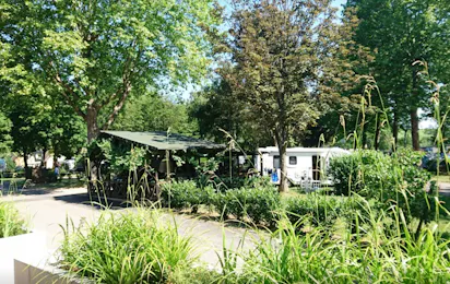 Camping de Riquewihr
