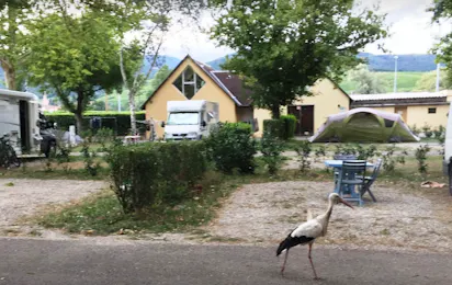 Camping de Riquewihr