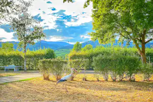 Camping de Riquewihr - Stellplätze und Tischtennisplatte auf dem Campingplatz