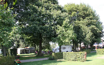 Camping de Rooëjbes