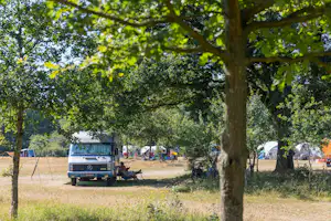 Huttopia De Roos Camping De Roos - Stellplatz unter den Bäumen