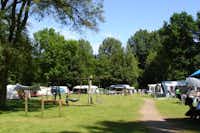 Camping De Ruimte -  Wohnwagen- und Zeltstellplatz mit Kinderspielgeräten davor
