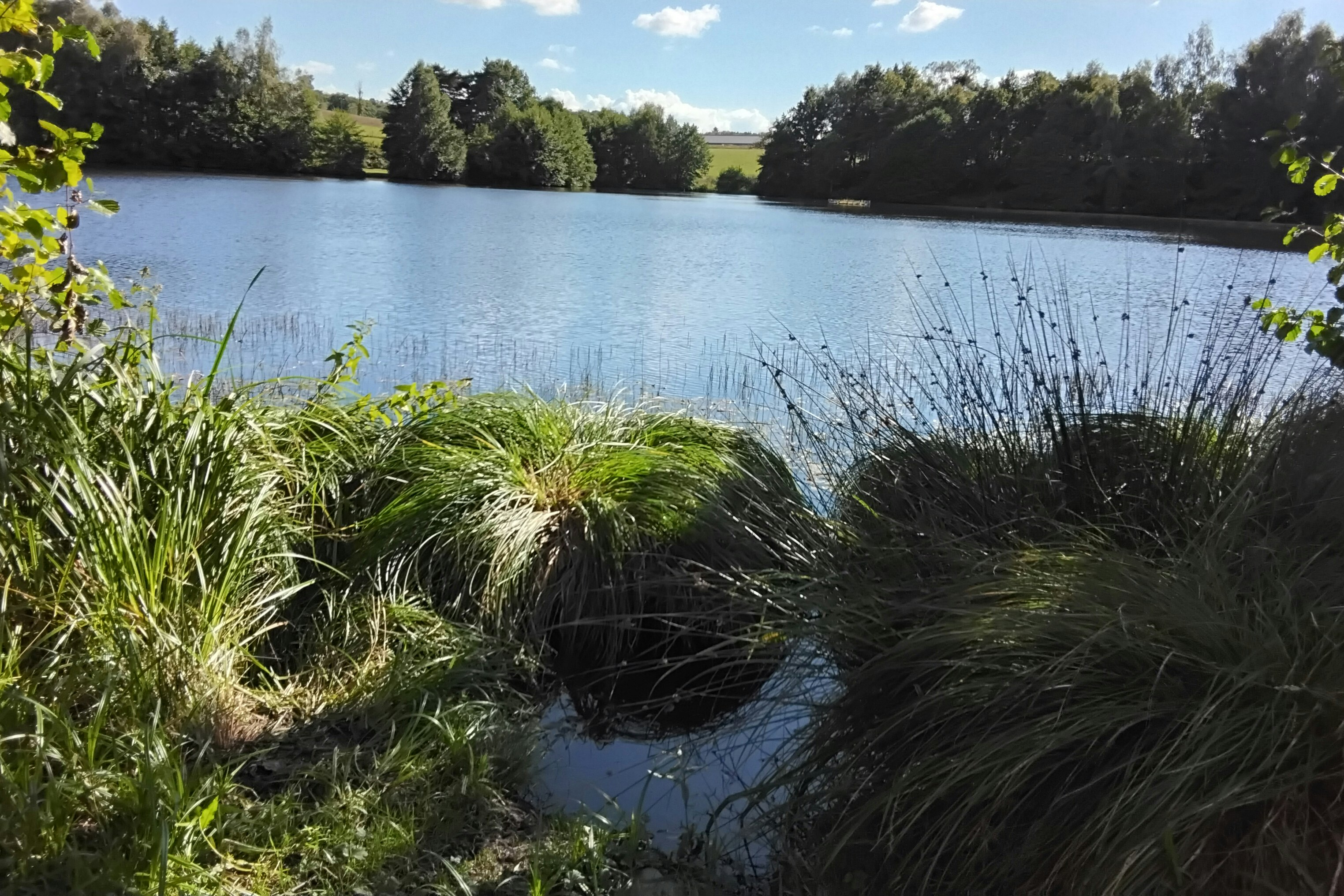 Domaine Relais du Lac  Camping de Saint Gervais - Blick auf das Ufer des Sees