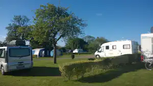 Wohnmobile auf einer Campingwiese, ein Baum im Vordergrund und weitere Fahrzeuge entlang des Rasens.