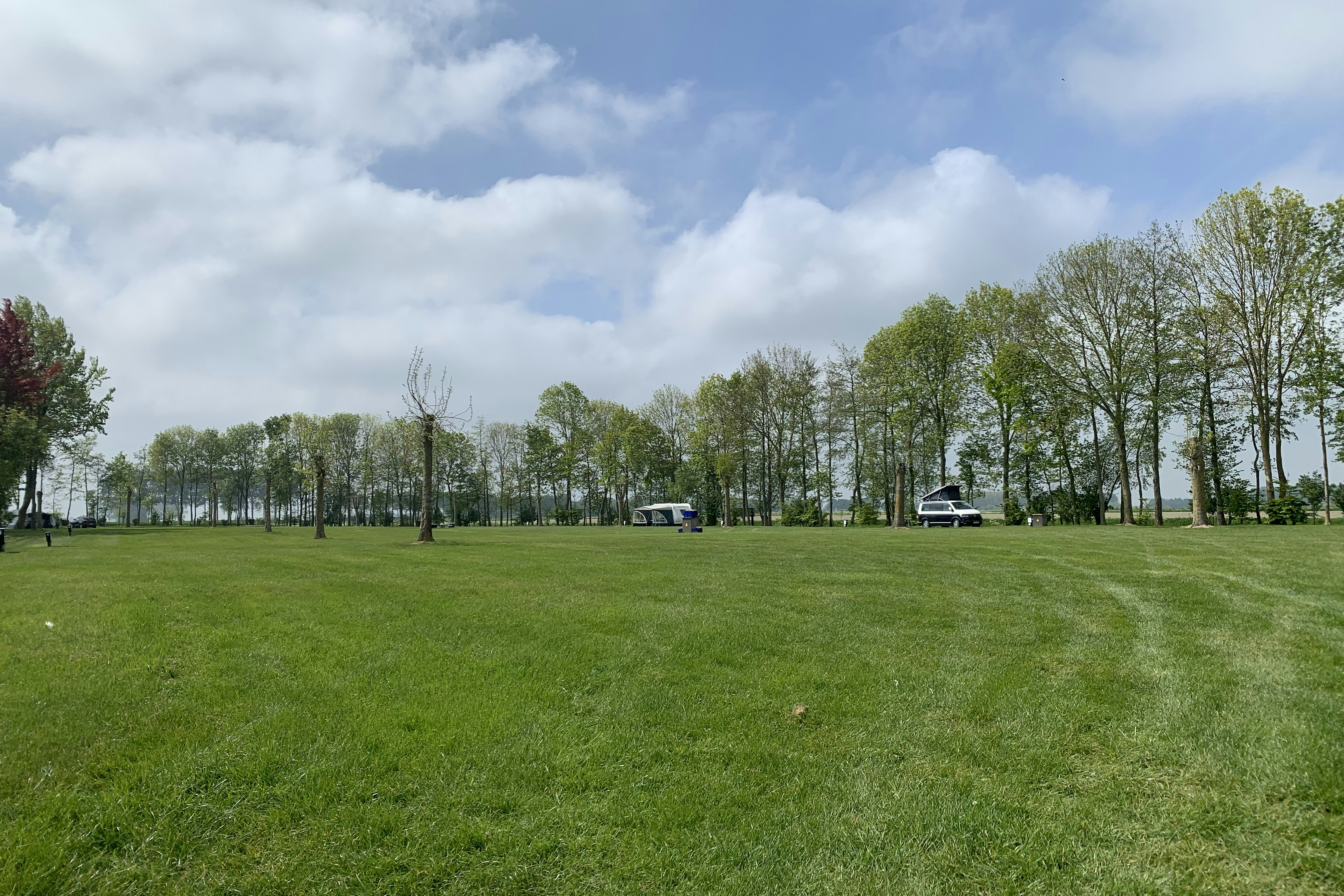 Camping De Soetelaer - Blick auf die Stellplätze auf der Grünfläche