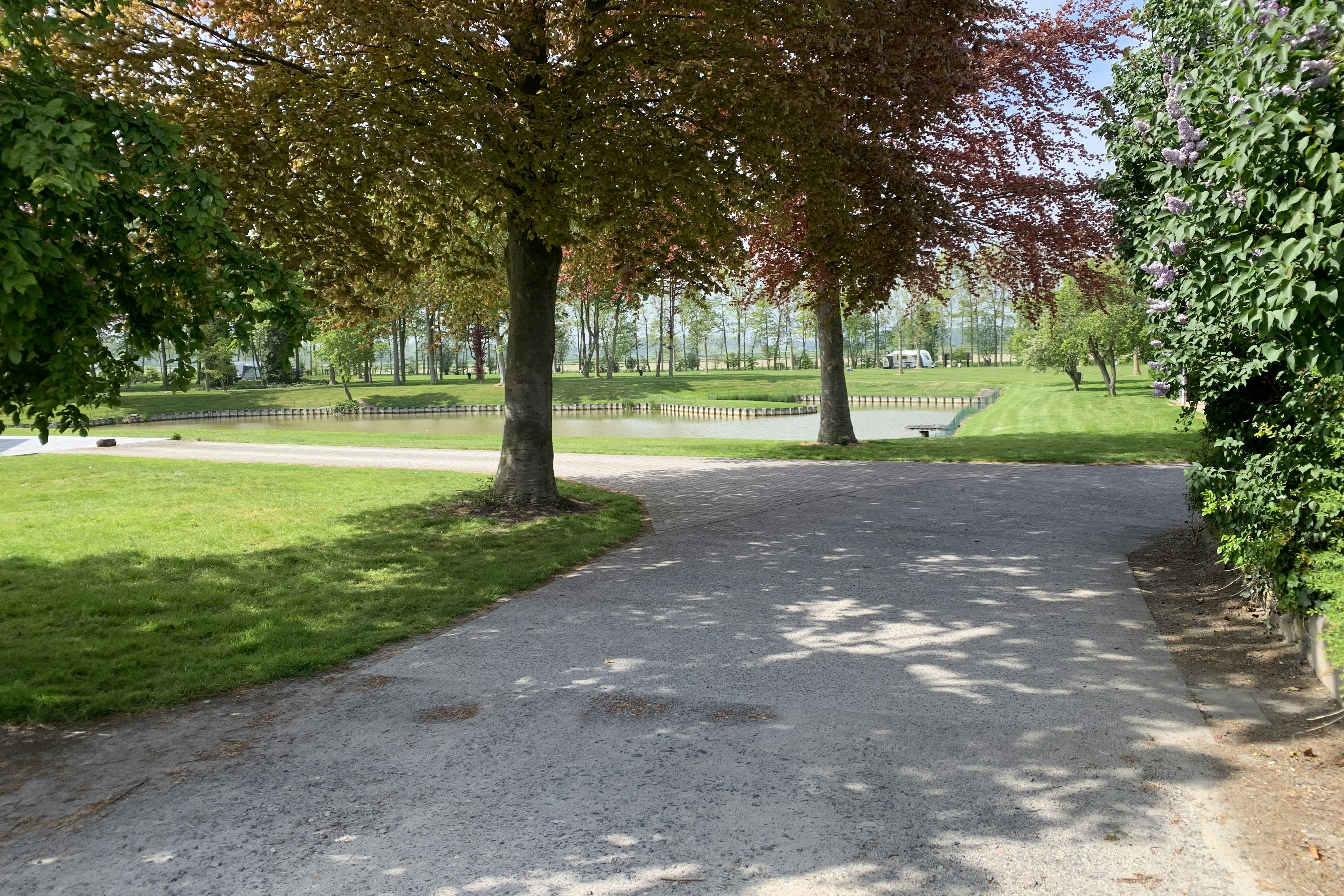 Camping De Soetelaer