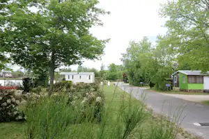 Wohnwagen auf einem Campingplatz-Stellplatz am Weg, umgeben von Büschen und hohen Bäumen.