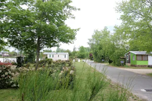Camping de Sologne Salbris - Mobilheime und Stellplätze auf dem Campingplatz