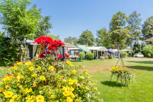 Camping De Spaendershorst - Blick auf die Standplätze auf der Wiese