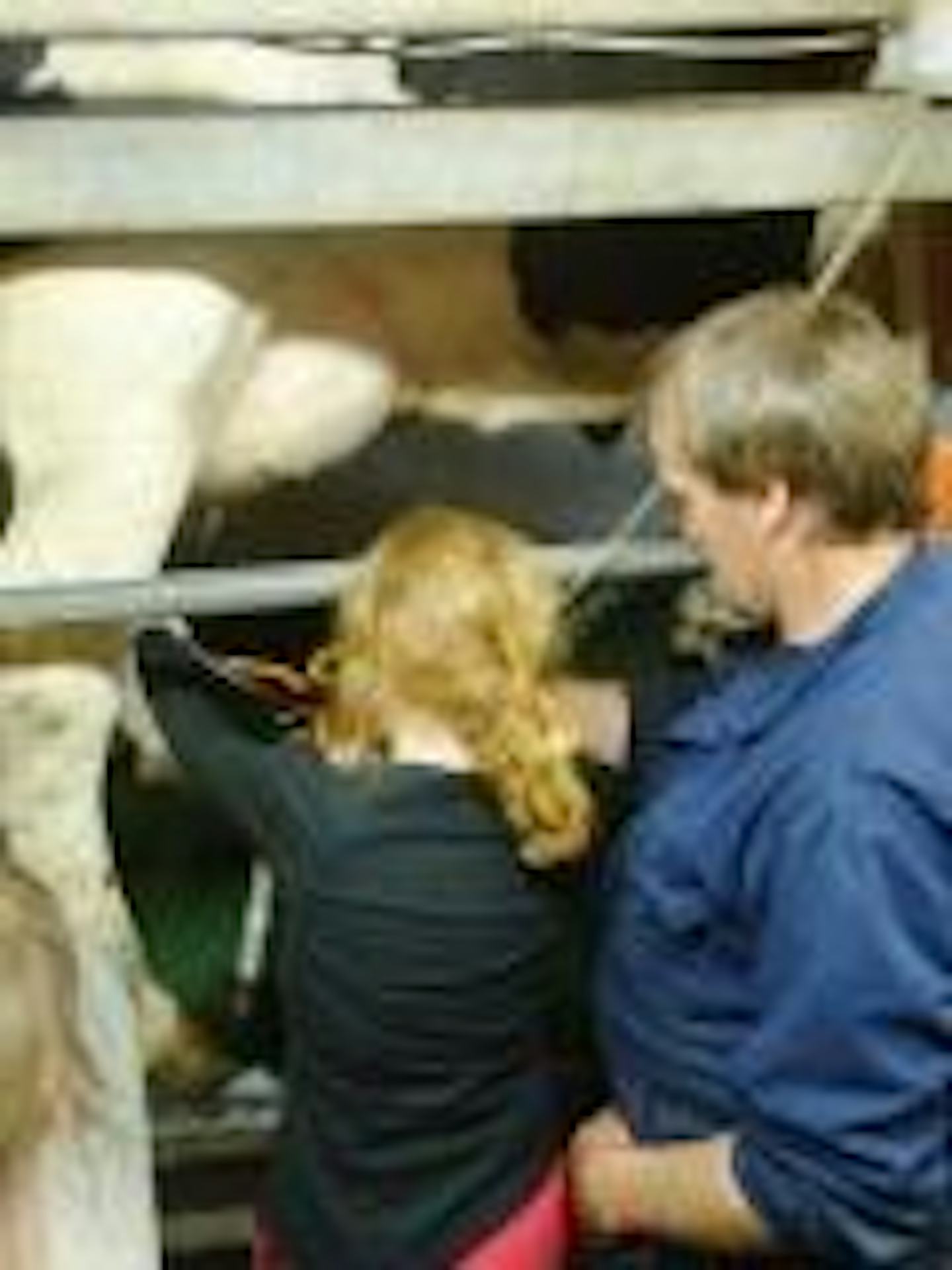 Camping De Speelhoeve