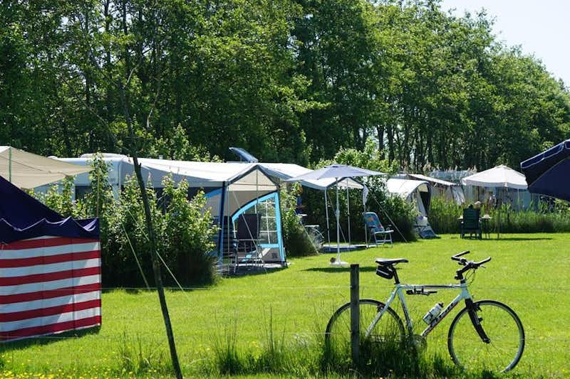 Camping De Toffe Peer -  Stellplätze im Grünen auf dem Campingplatz