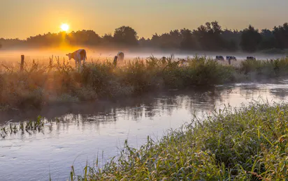 Vakantieplek De Toffe Peer