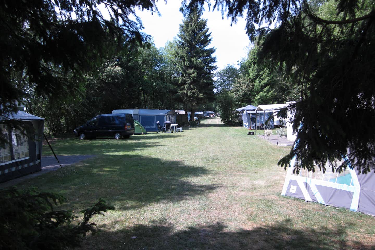 Camping De Tol -   Wohnwagen- und Zeltstellplatz zwischen Bäumen auf dem Campingplatz